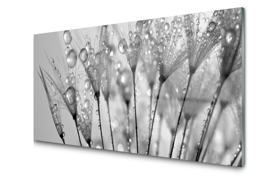 

Panel szklany dekor Mniszek Roślina 120x60 + Klej