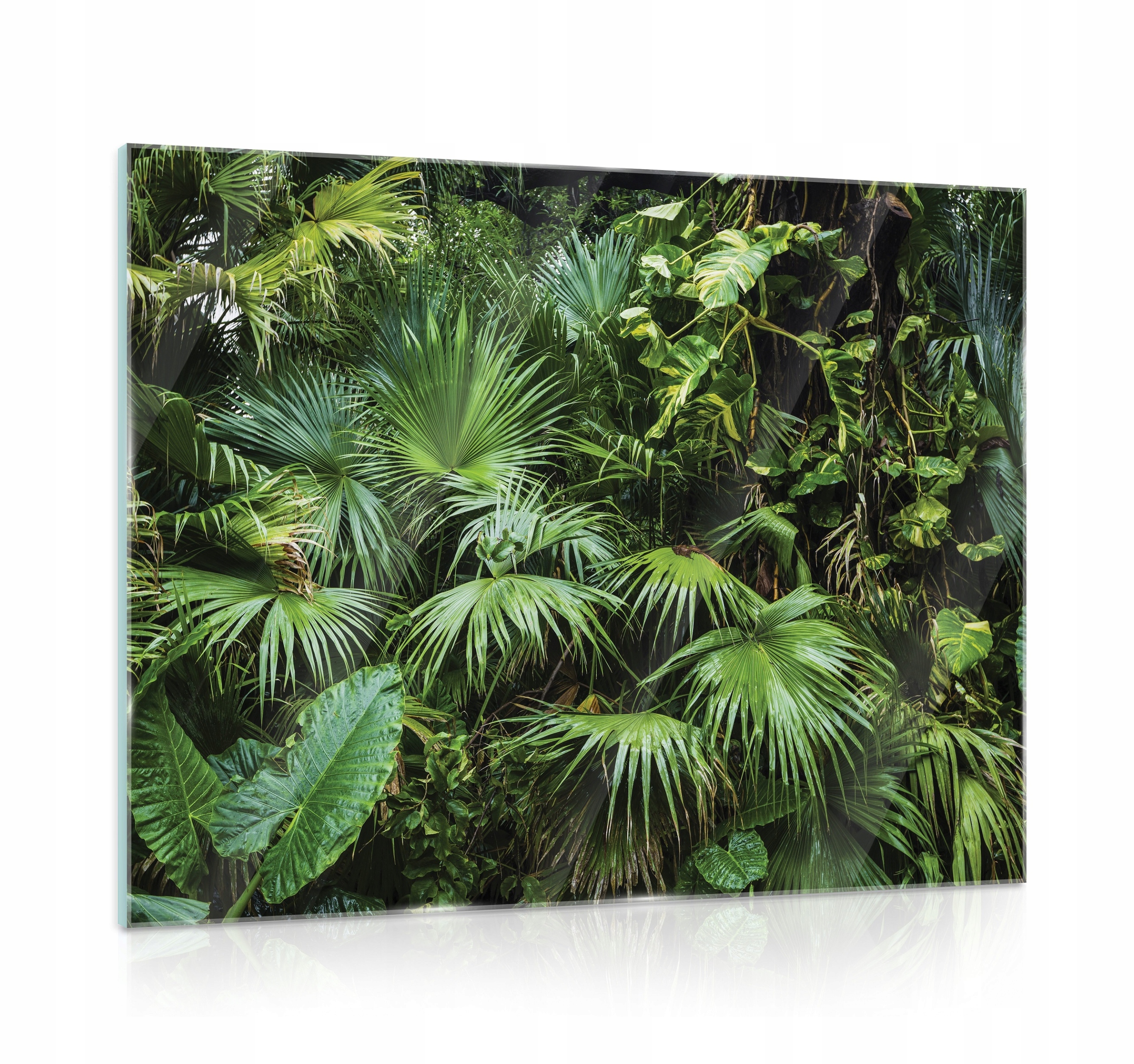 Obraz na skle do kuchyně Rostliny 80x60