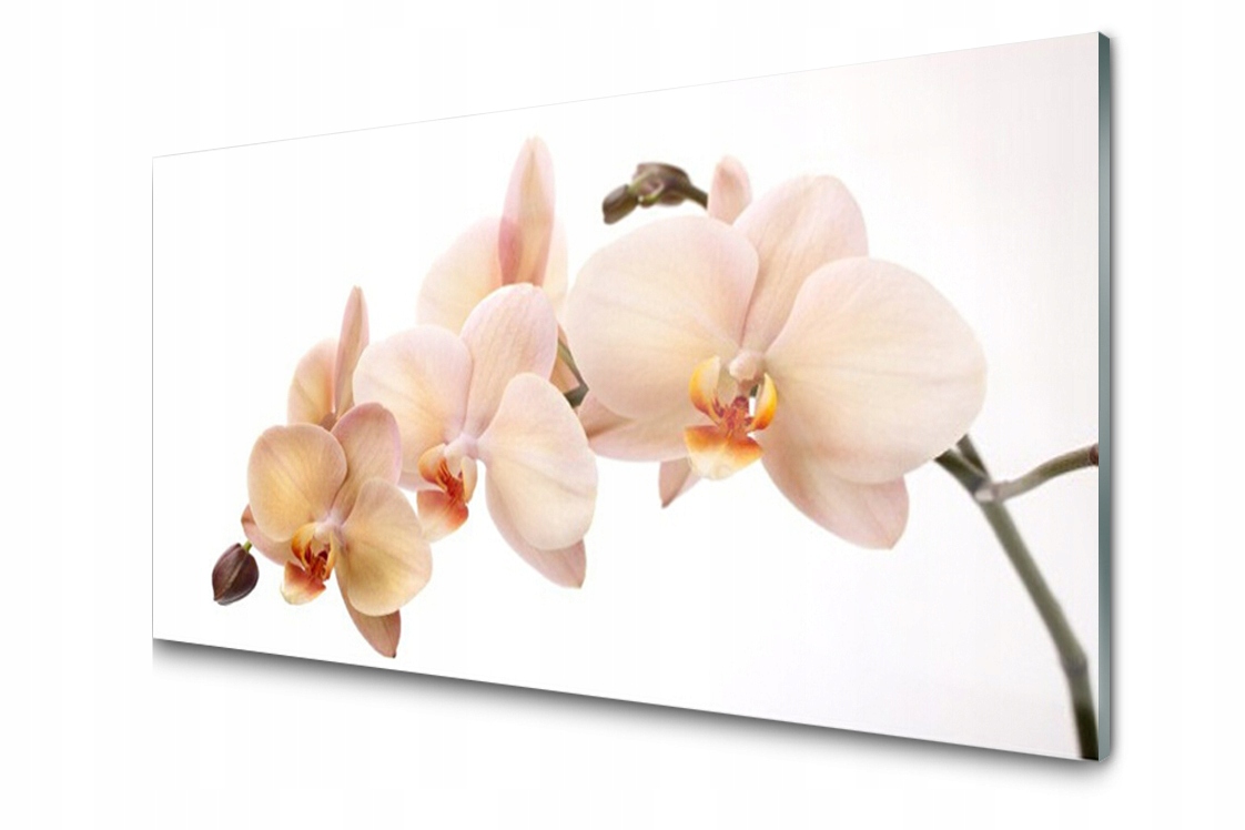 

Panel szklany dekoracyjny Kwiaty Roślina 100x50