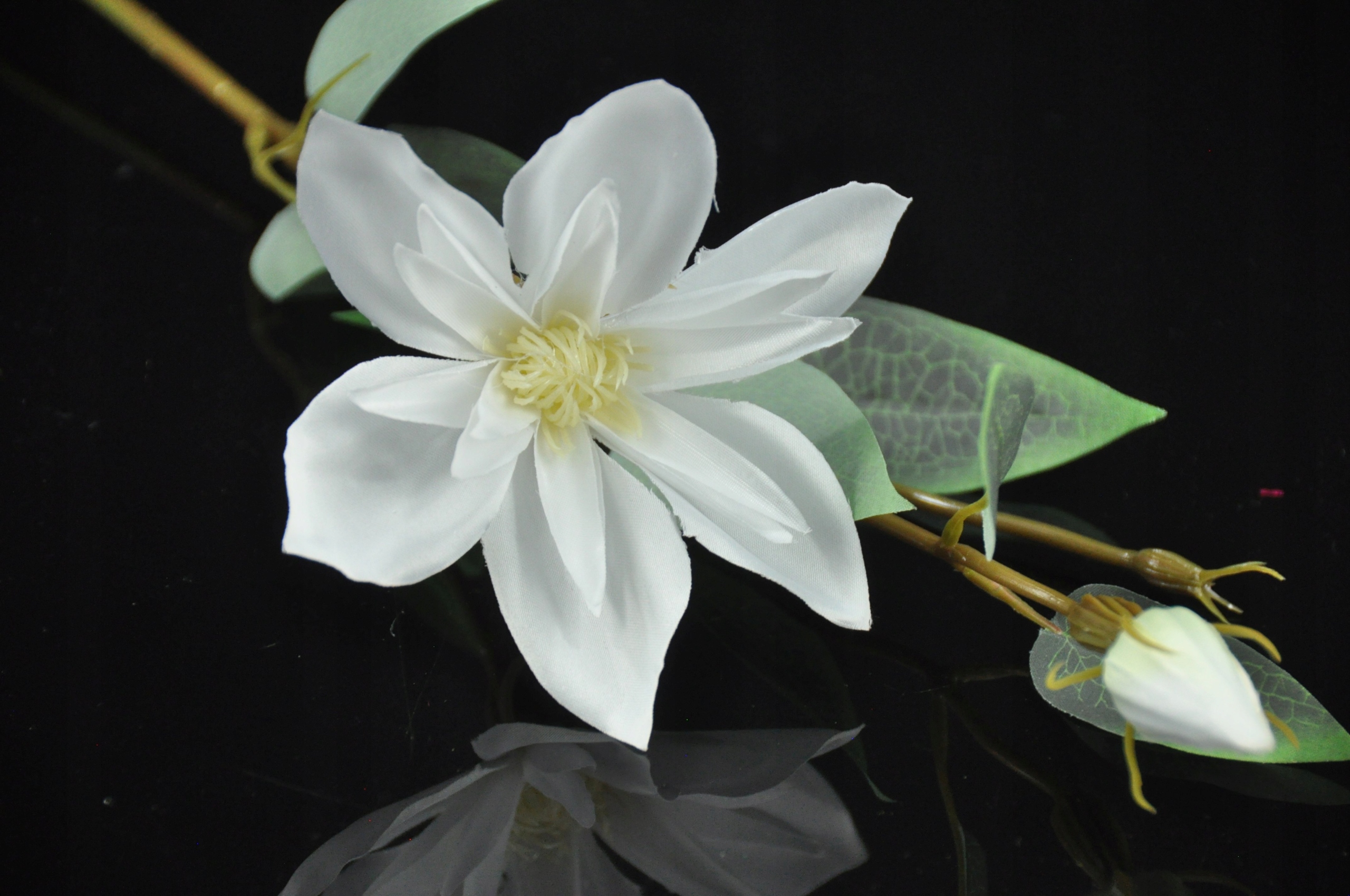 Klematis biały kwiat sztuczny Wysokość maksymalna 48 cm