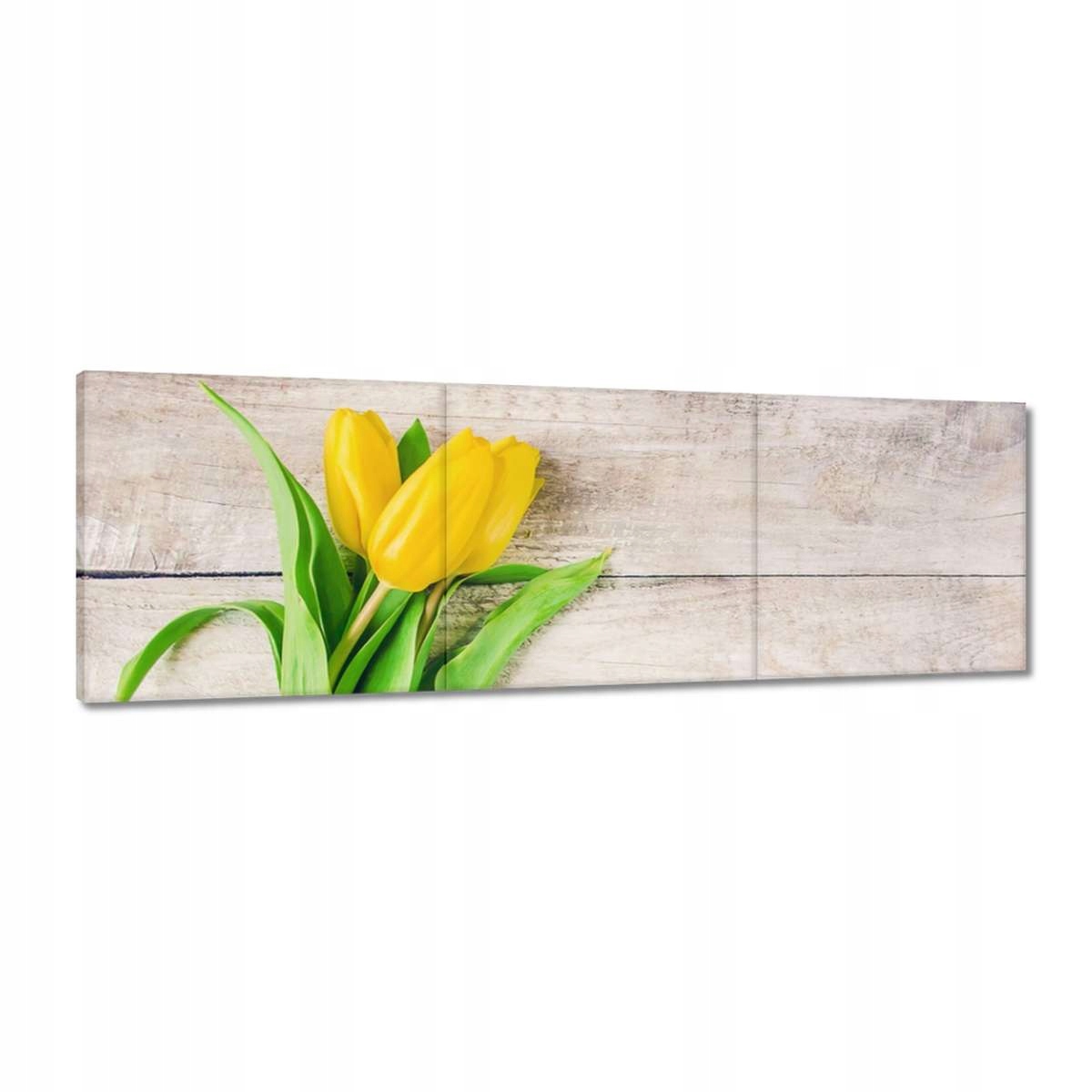Obrazy 120x40 Den žen Dárek Láska