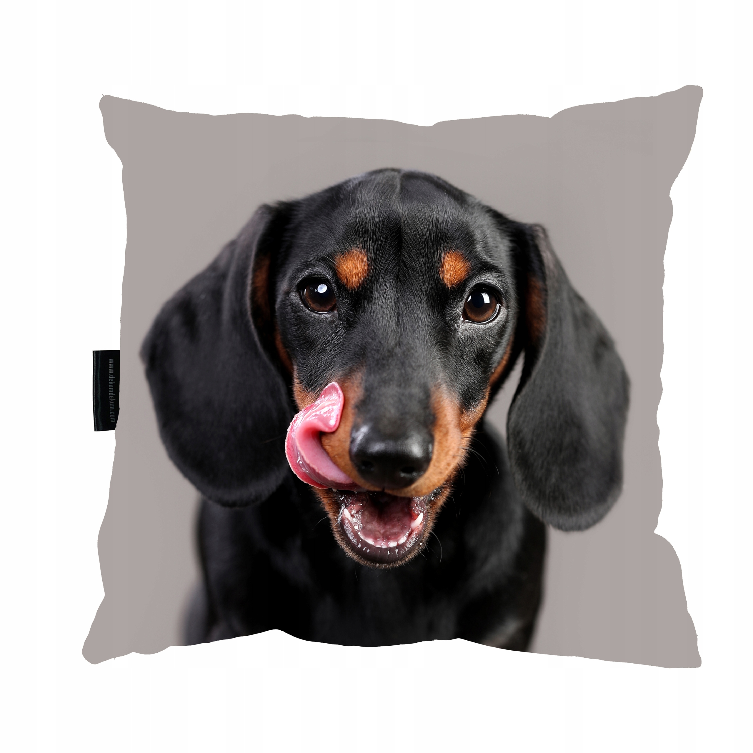 

Poduszka z psem Jamnik 40x40 idealna na PREZENTp