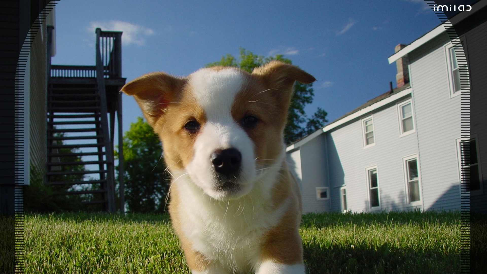 KAMERA zewnętrzna IMILAB EC3 Lite do monitoringu posesji z SYERNĄ + 64GB Marka Imilab