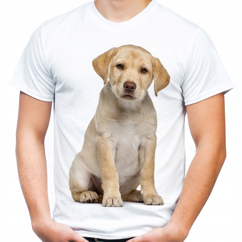 

Koszulka z labradorem psem labrador t-shirt XL