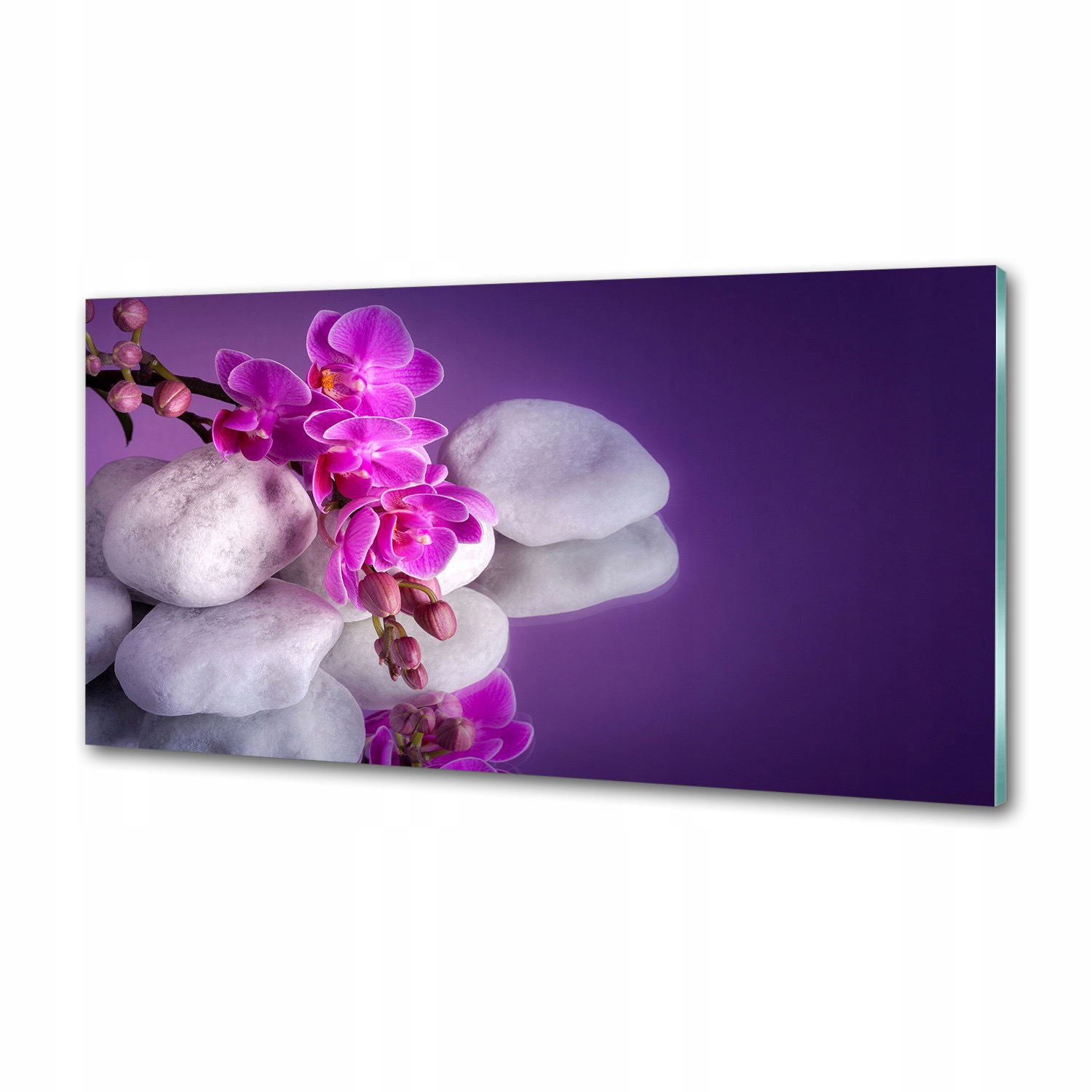 Panel medzi nábytkom v kuchyni Orchidea 100x50 Lepidlo