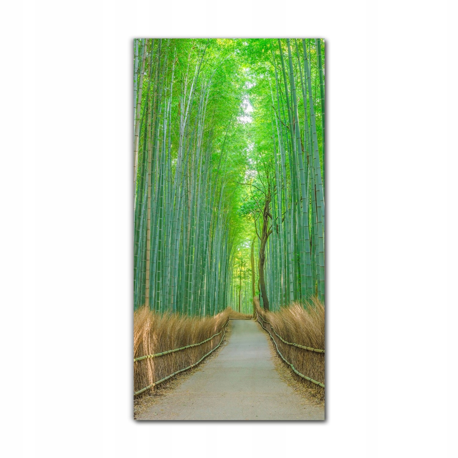 

Obraz szklany do sypialni 70x140 cm Tokio bambus