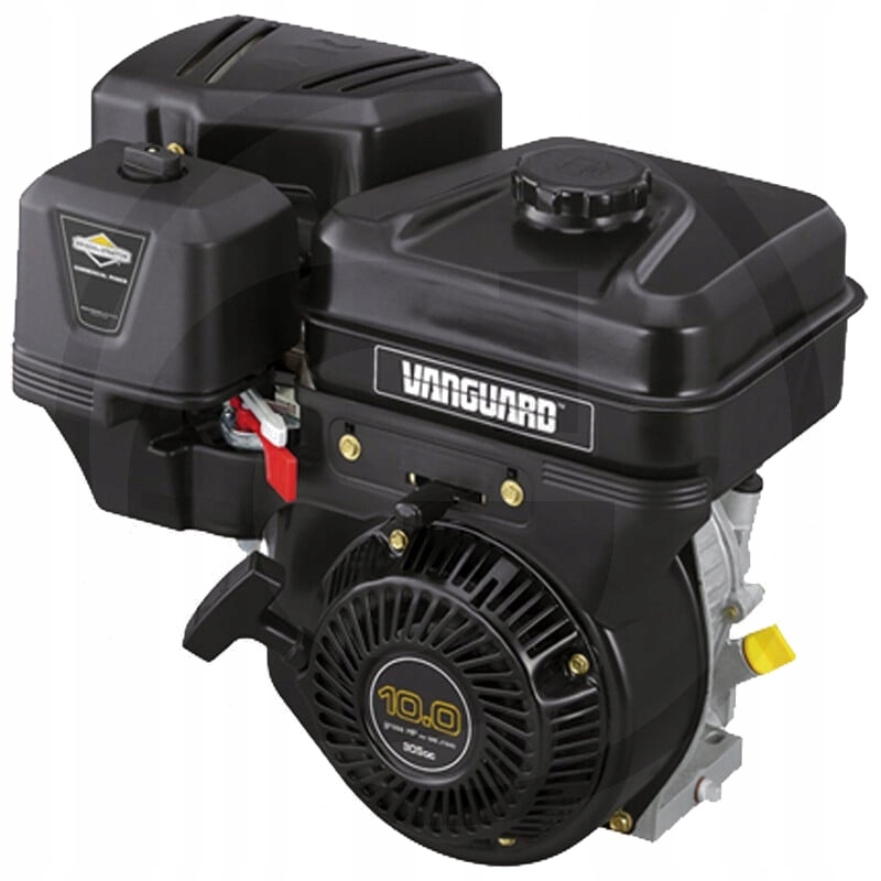 Briggs & Stratton Silnik