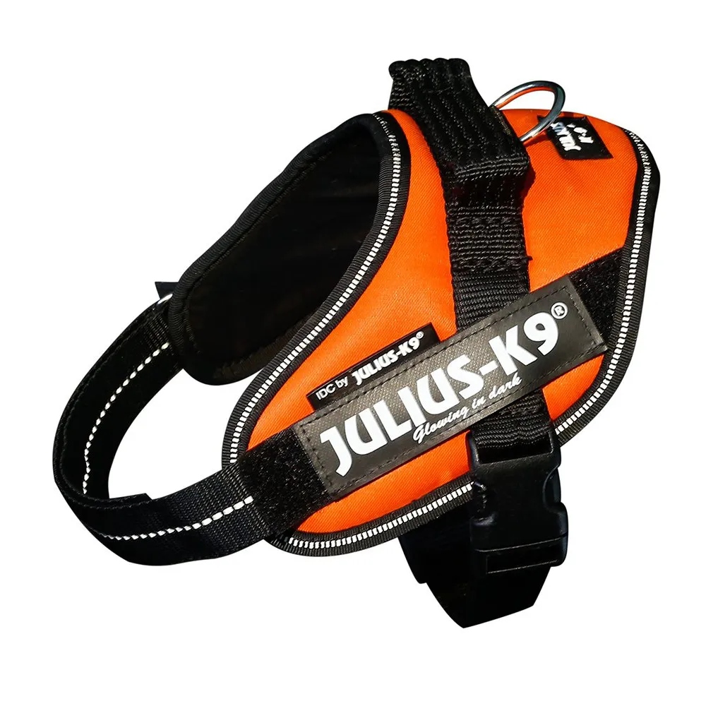 Julius-K9 IDC Powerharness szelki, uprząż dla psa pomarańczowa Mini