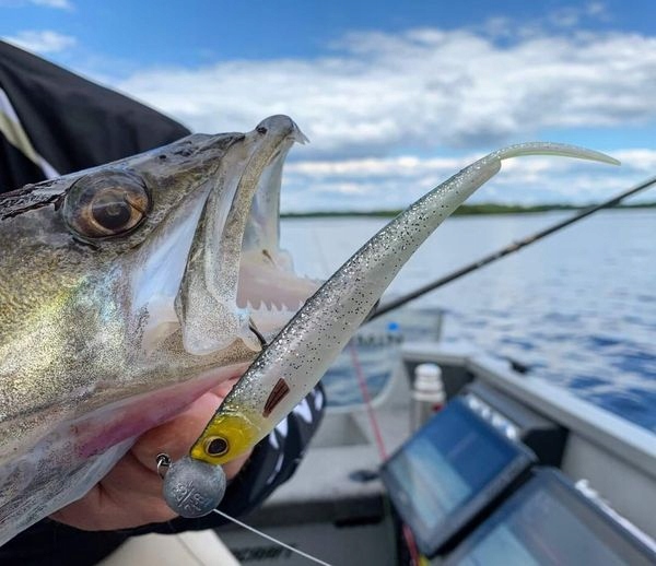 WESTIN Twin Teez V2 14,5cm Jaskółka 1SZT Marka Westin