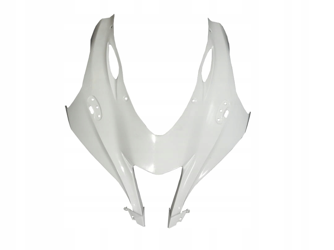 Lebka lebka Kawasaki ZX-10R 2016-2020