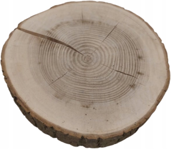 

Plastry Krążki Drewna 1 Sztuka 18-20 CM