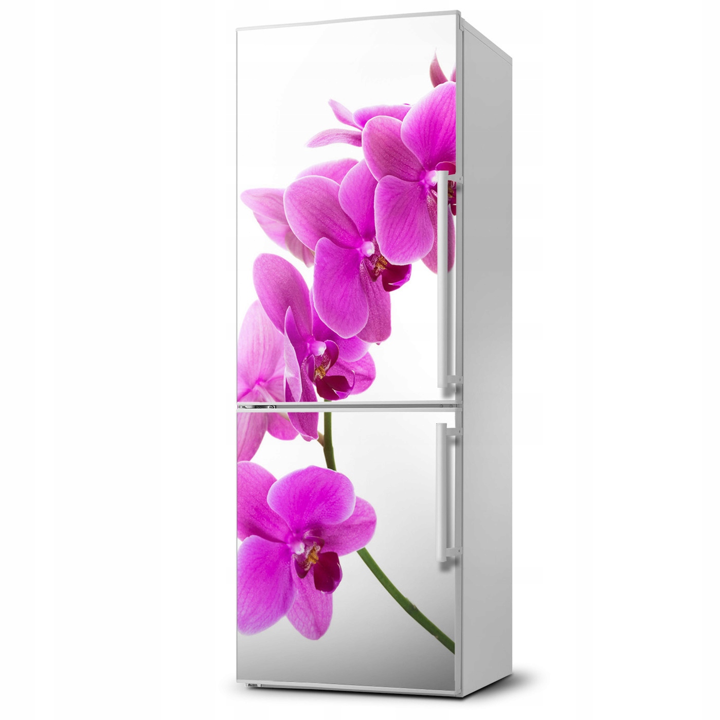 

Naklejka Magnes Magnes Różowa orchidea 60x180