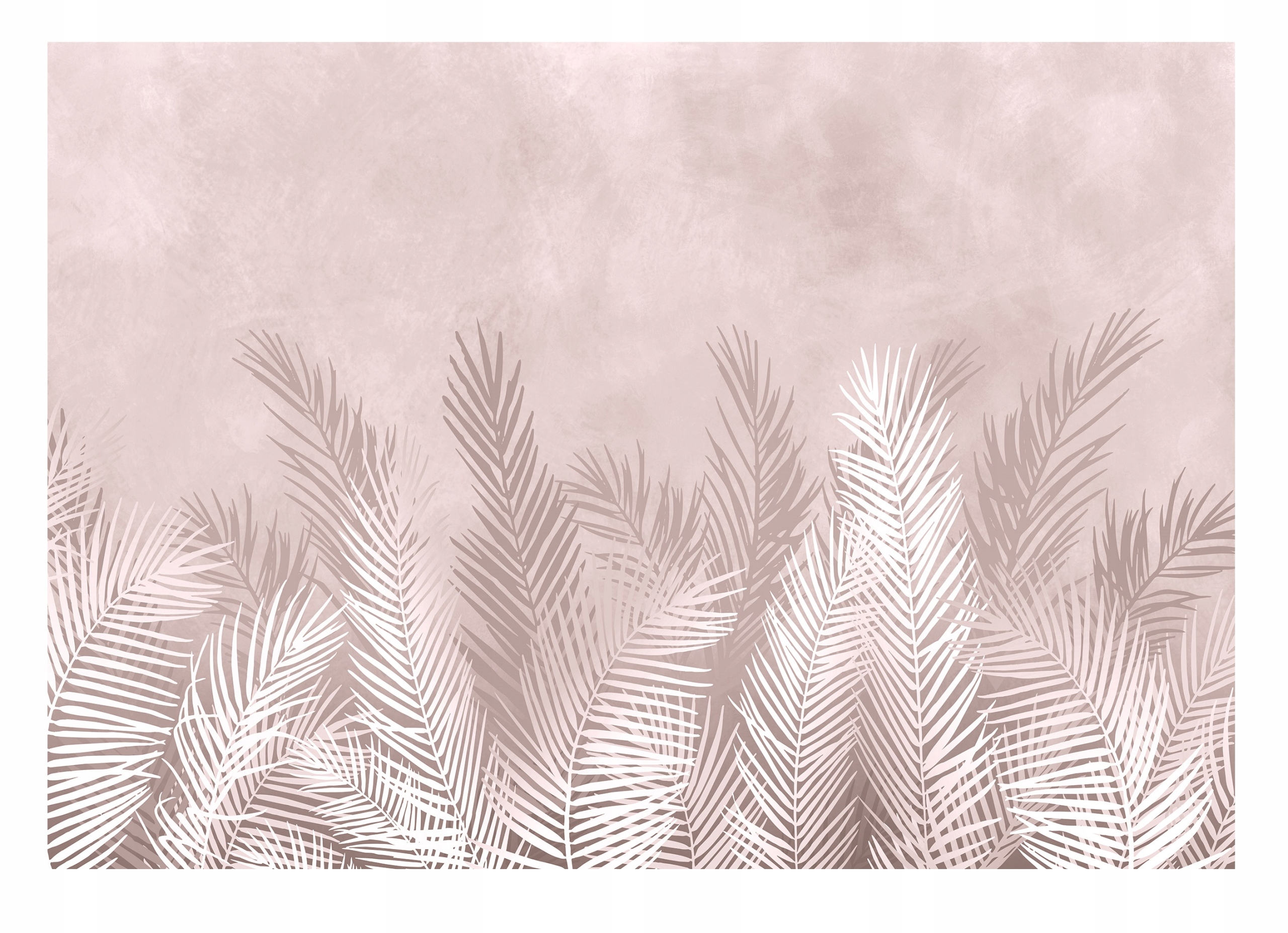 Fototapeta Listy Palmy Pera Beton Tapeta Ložnice Obývací Pokoj Nástěnná 416x254