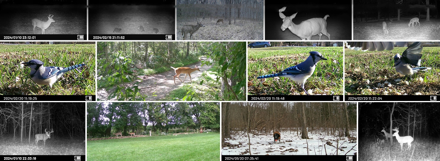 Fotopułapka IR Solarna Kamera Leśna Myśliwska 4K 48Mpx POLSKIE MENU Zasięg widoczności w nocy 20 m