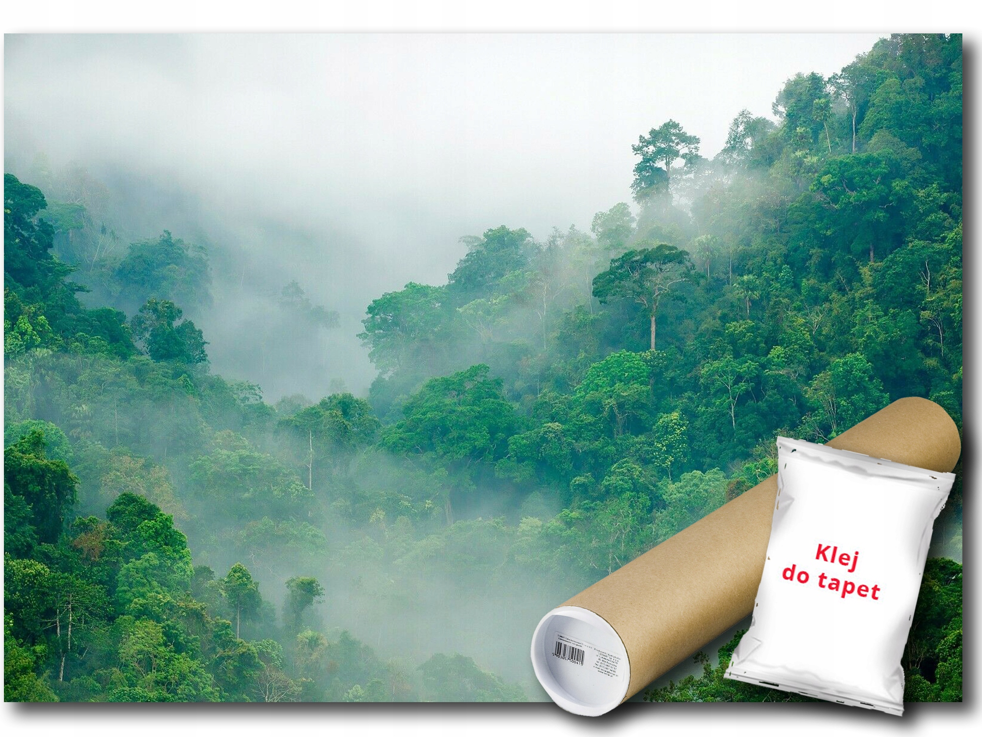 Fototapeta Flizelina Les Mlha Hory Pohled 368x254