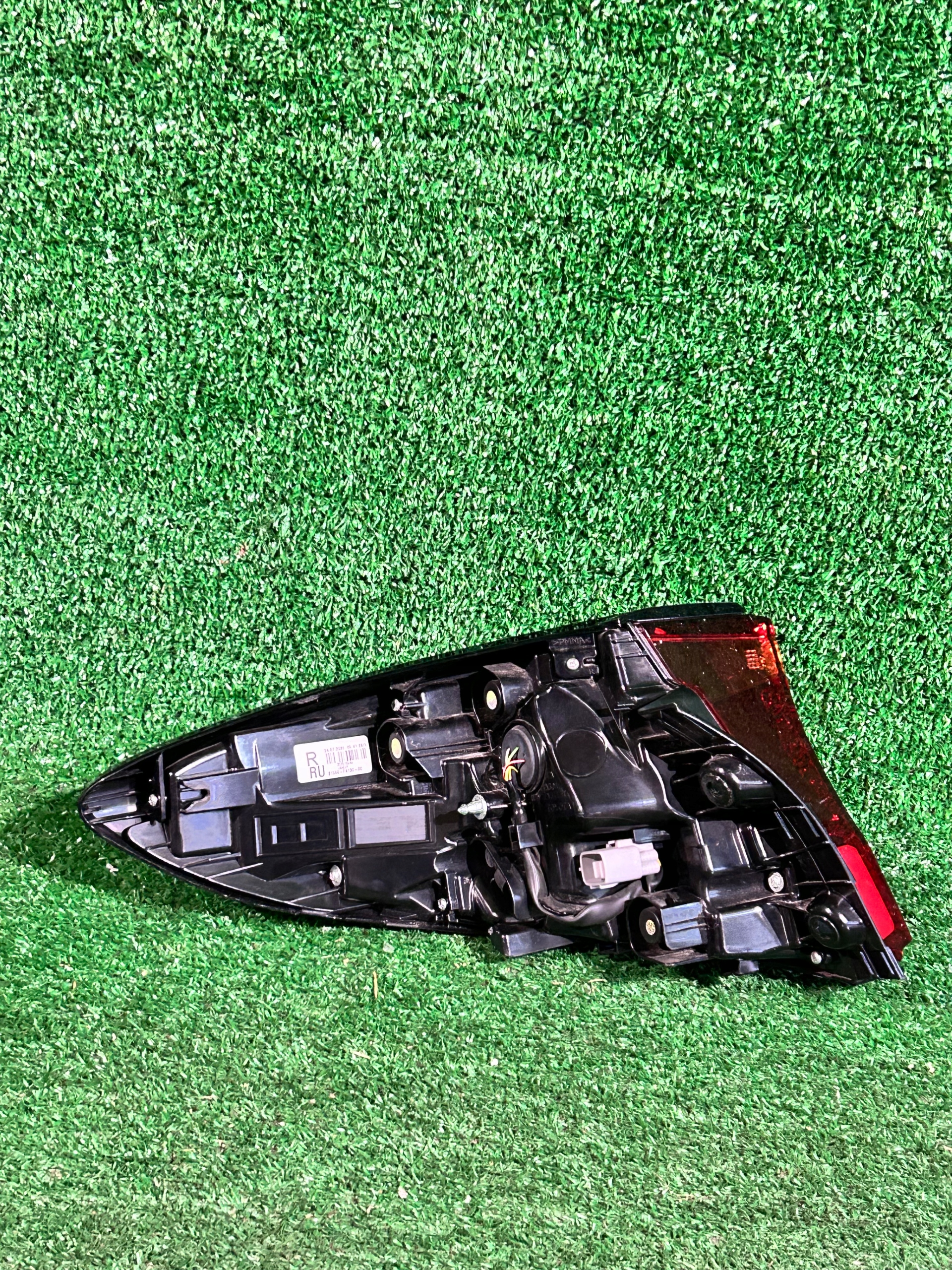 light rear right TOYOTA CH-R LIFT