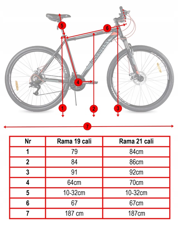 ROWER GÓRSKI MTB 29 CALI 21B AMORTYZACJA HAMULCE TARCZOWE wzrost 165-180cm Model BASTION DD wolnobieg