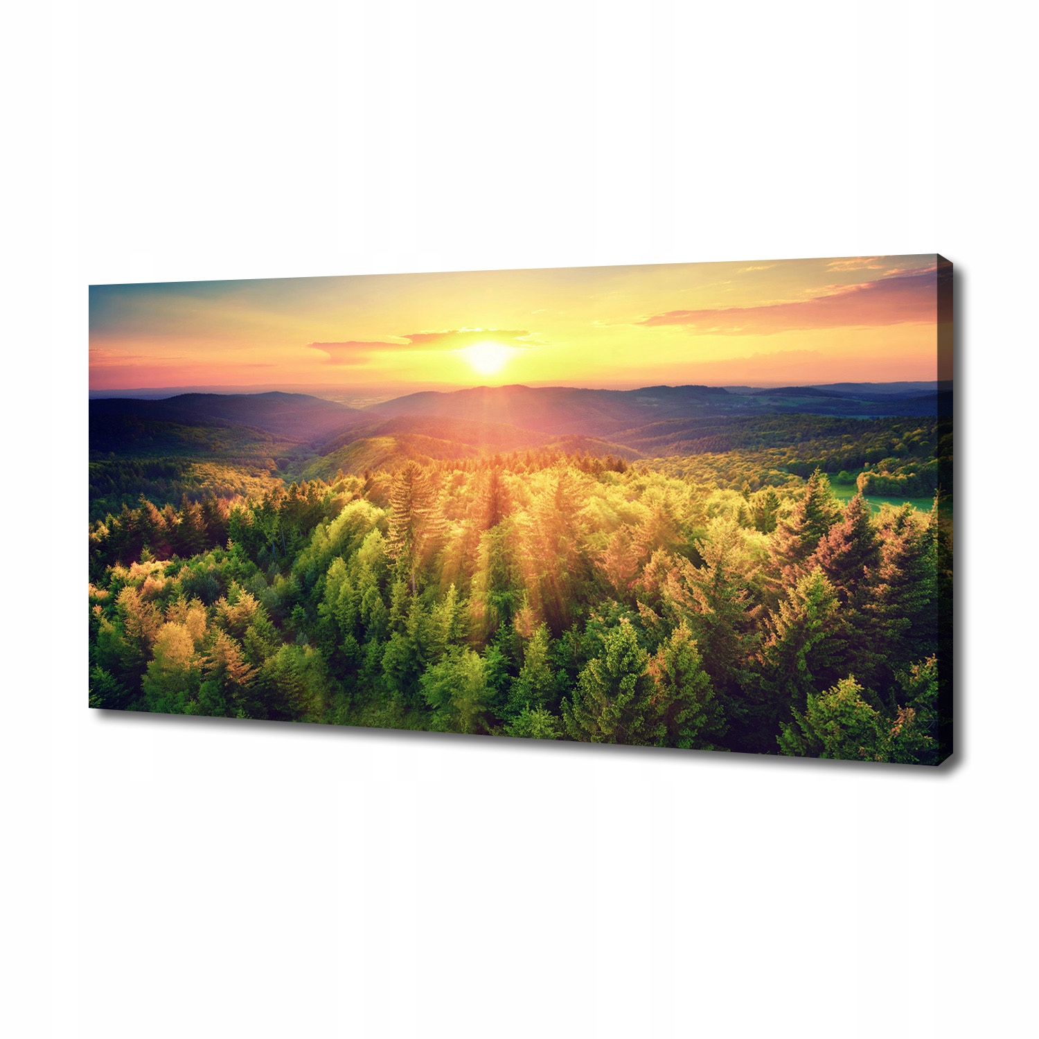 

Foto obraz na płótnie Las zachód słońca 140x70 cm