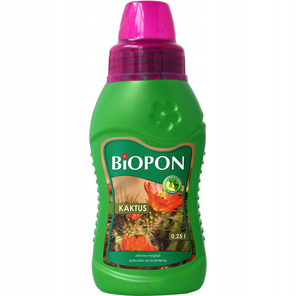 

Biopon nawóz do kaktusów 0,25 L