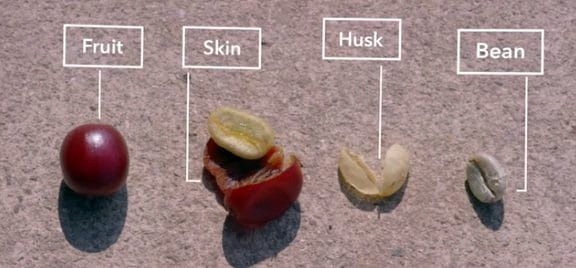 HUSKEE Kubek take-away 177ml Natural + pokrywka Kolor odcienie brązu i beżu