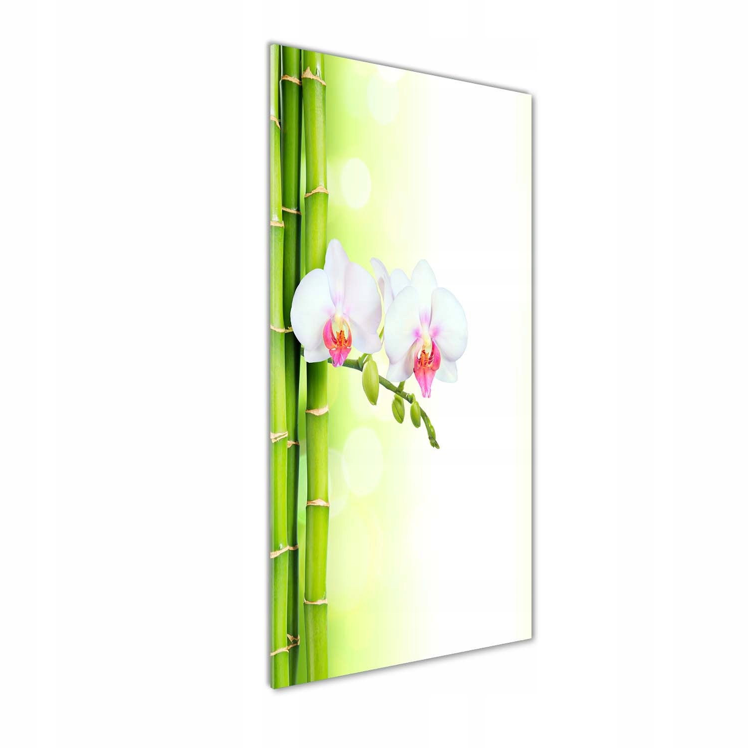 

Foto obraz na szkle Orchidea i bambus 50x125 cm