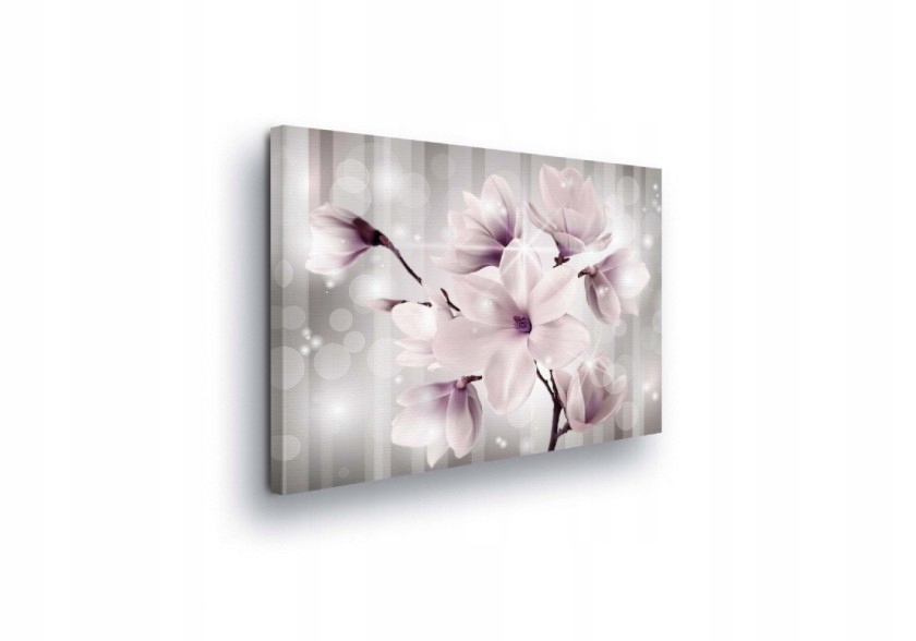 Obraz 80x60 Jemnost jaro kvetení magnolie klid harmonie bokeh