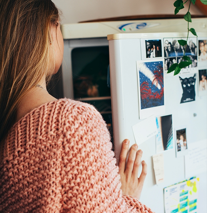 Filtr lodówka Samsung DA29-10105J HAFEX WSF100 Przeznaczenie lodówka