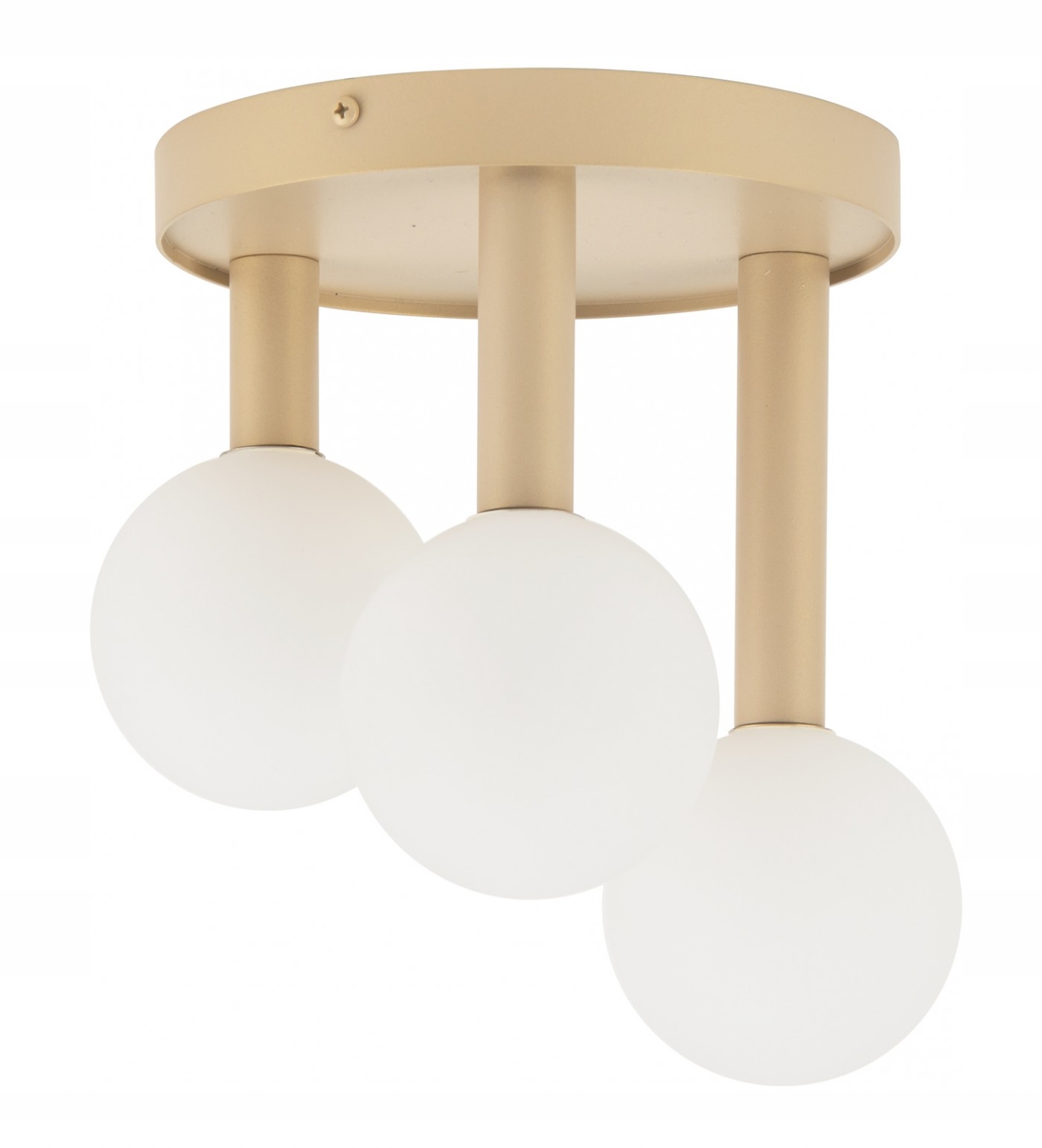 Perla gold III 33603 Sigma