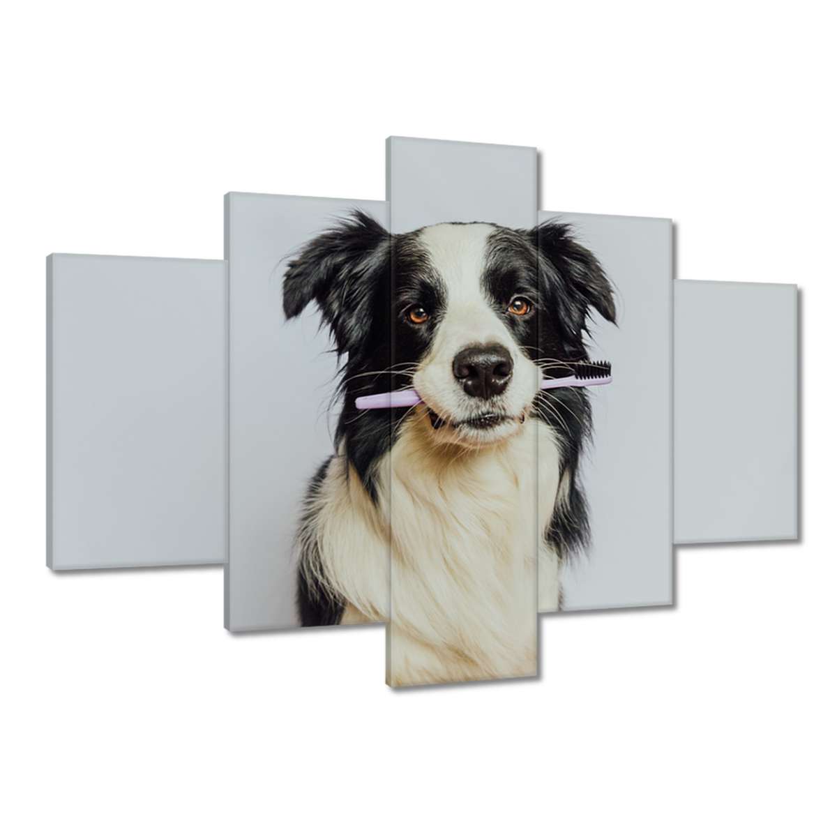 Obrazy 150x105 Kolie s kartáčkem