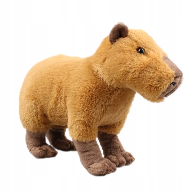 PLUSZAK KAPIBARA CAPYBARA MASKOTKA DLA DZIECI 30CM Kod producenta CapybaraD