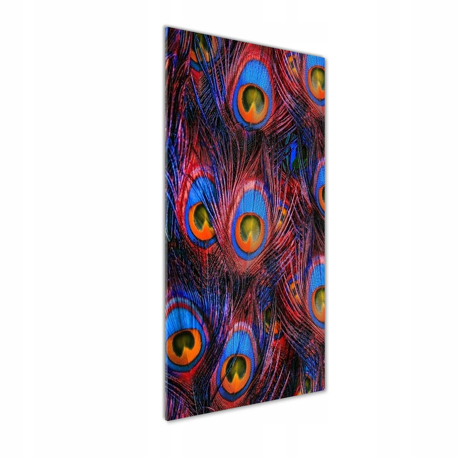

Nowoczesny fotoobraz akrylowy Pawie pióra 50x125cm
