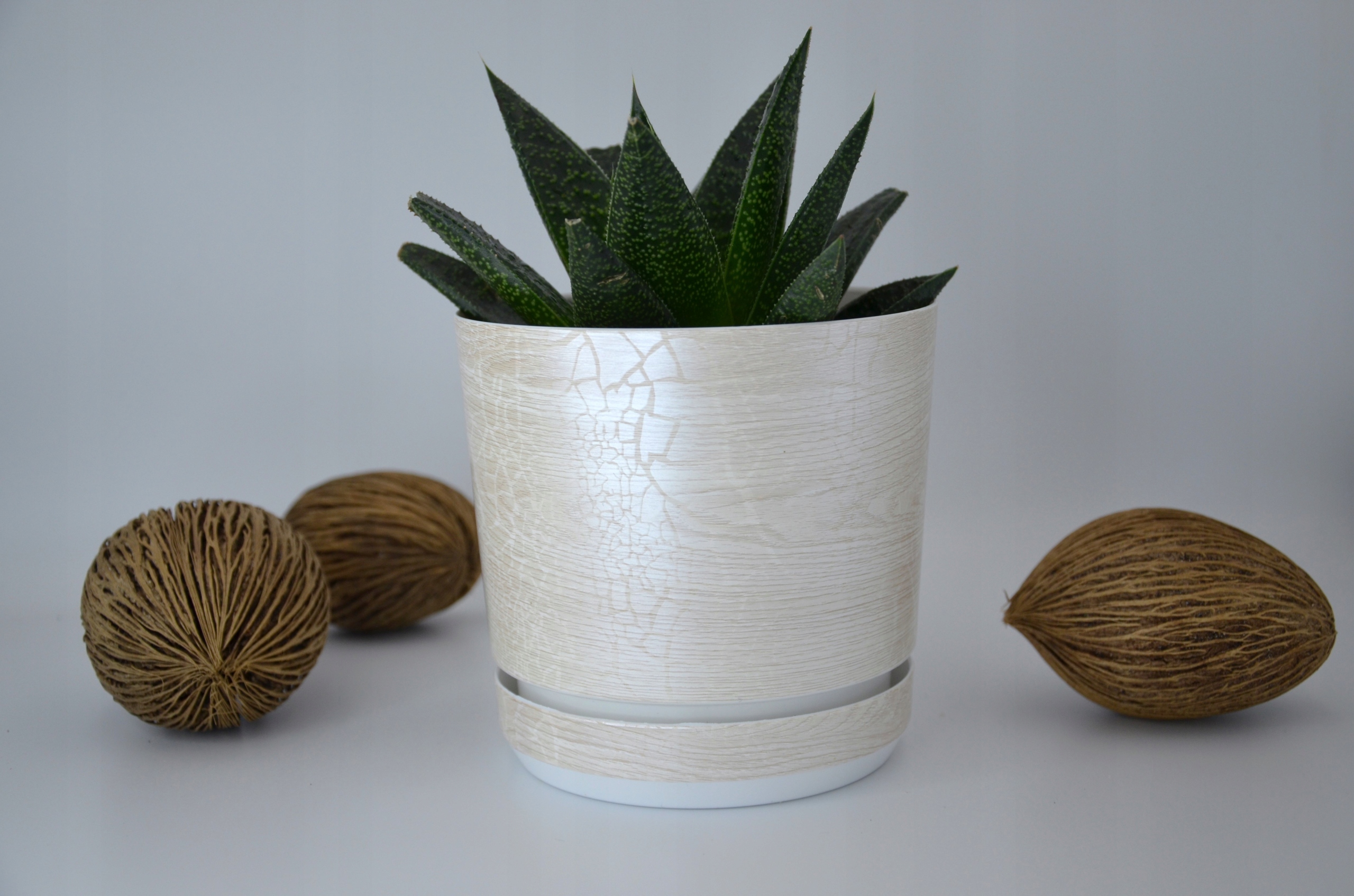 32 cm velký široký květináč Safari Perla s podstavcem, neobvyklá textura prkna