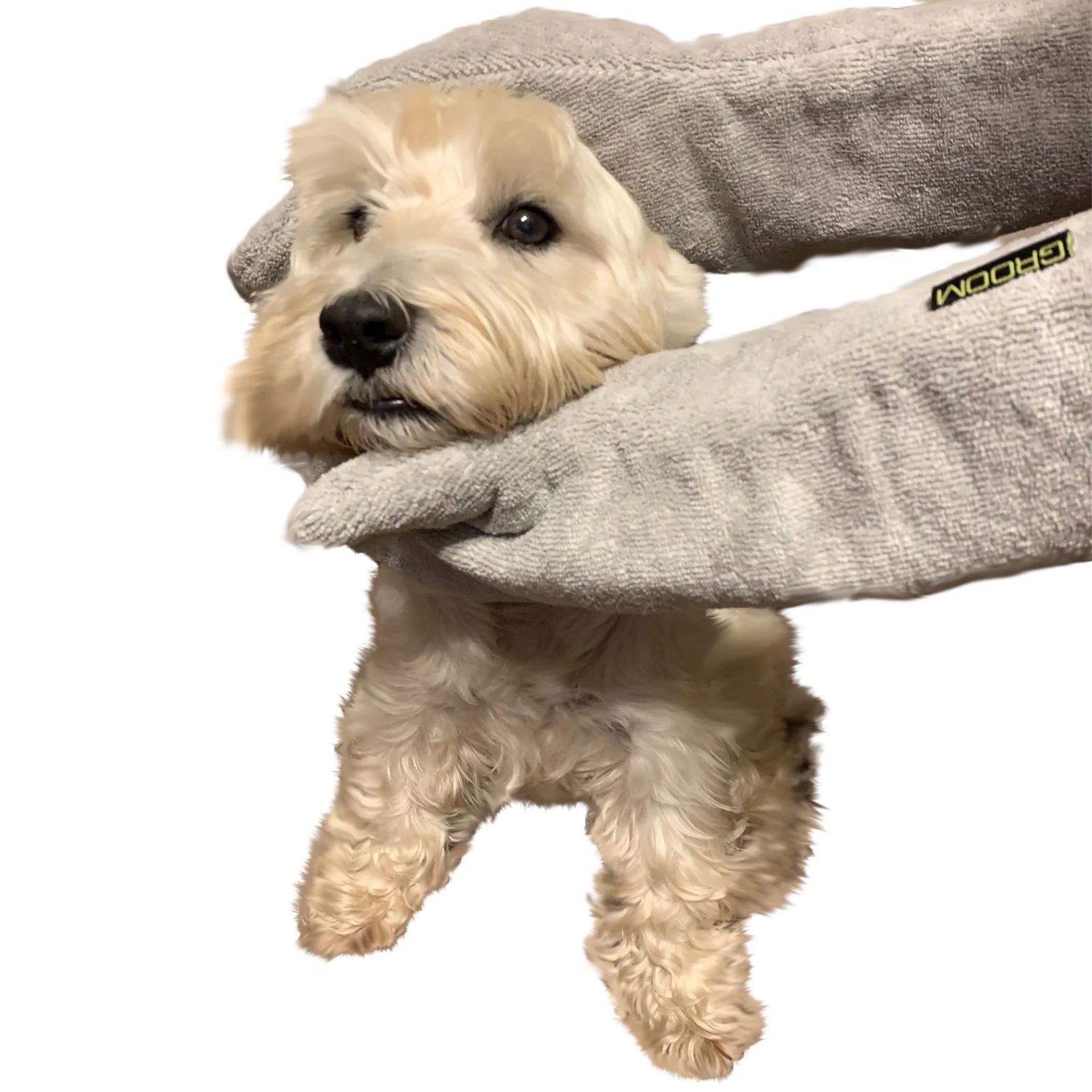 Levně Rukavice Na Sušení Psa A Kočky, Ručník Z Mikrovlákna Na Srst