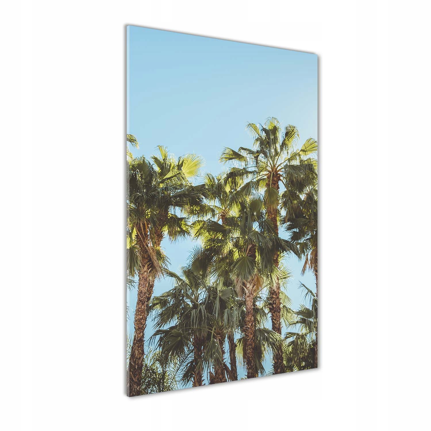 

Fotoobraz szklany na ścianę do salonu Palmy 70x140