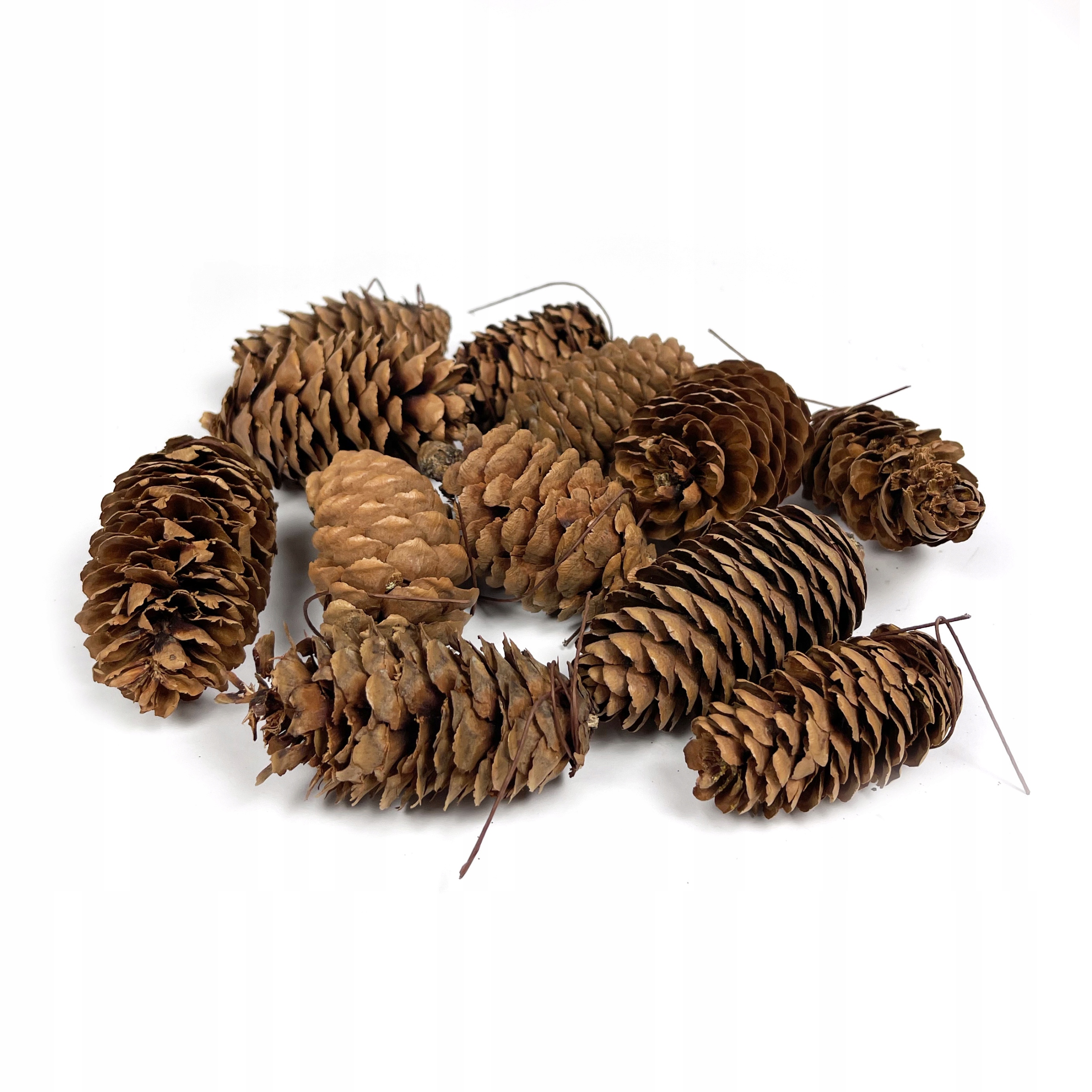 

Szyszki sosnowe z drucikiem 7 cm, 12 szt.