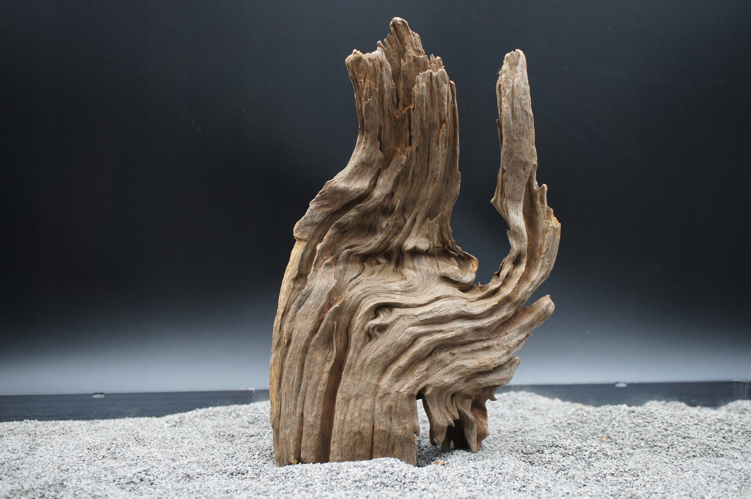 Kořen pro terarijní akvárium jagged wood 25 cm Jako Na Obrázku (J54)