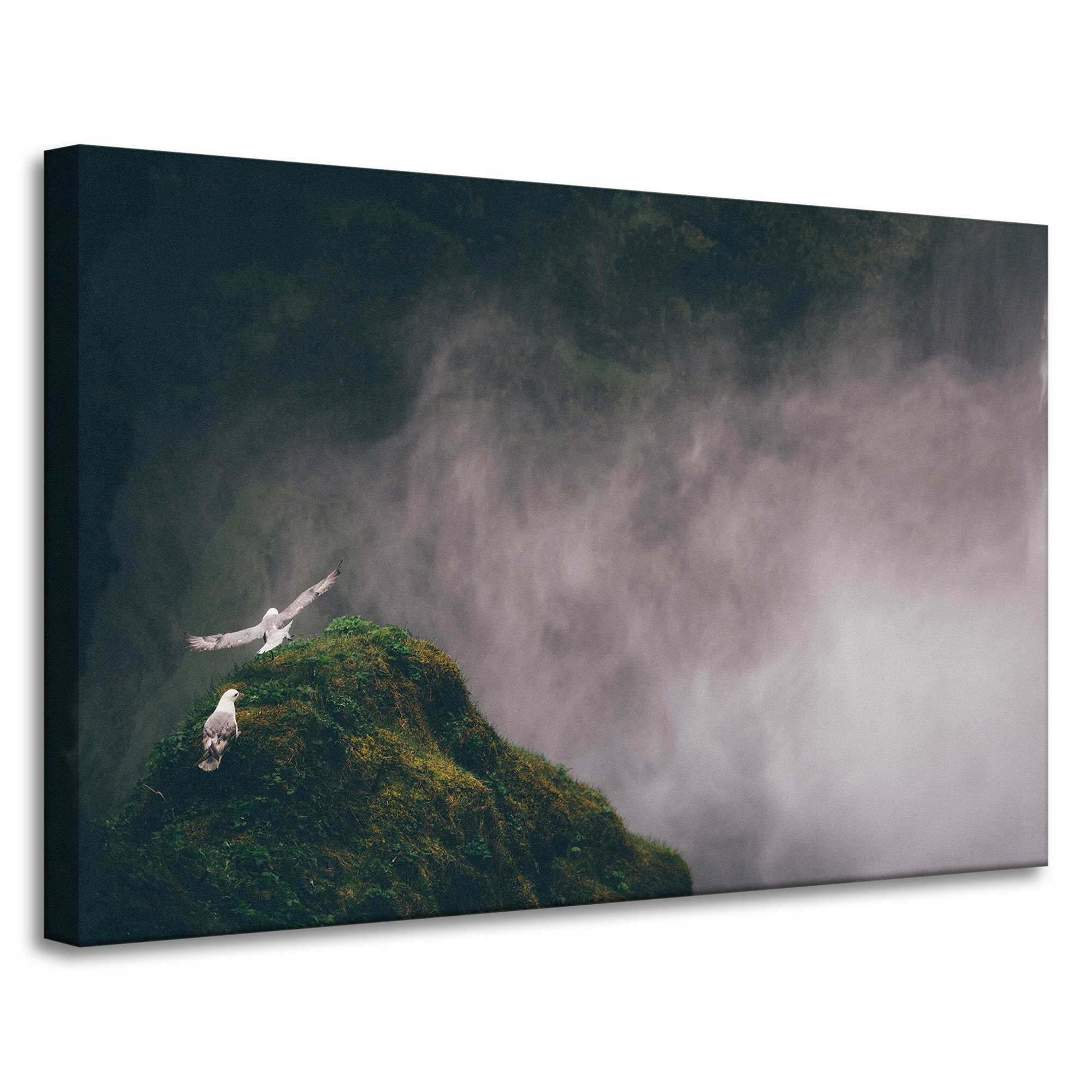 Obraz Canvas Příroda Z ptačí perspektivy Vrchol 90x60 cm