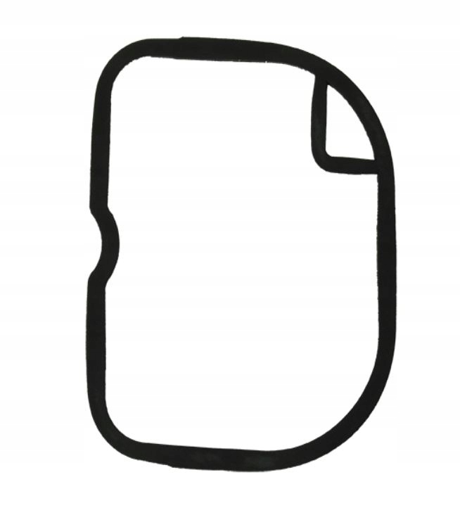 Uszczelka Gażnika Gumowa Es Ets Etz 125 150 Org