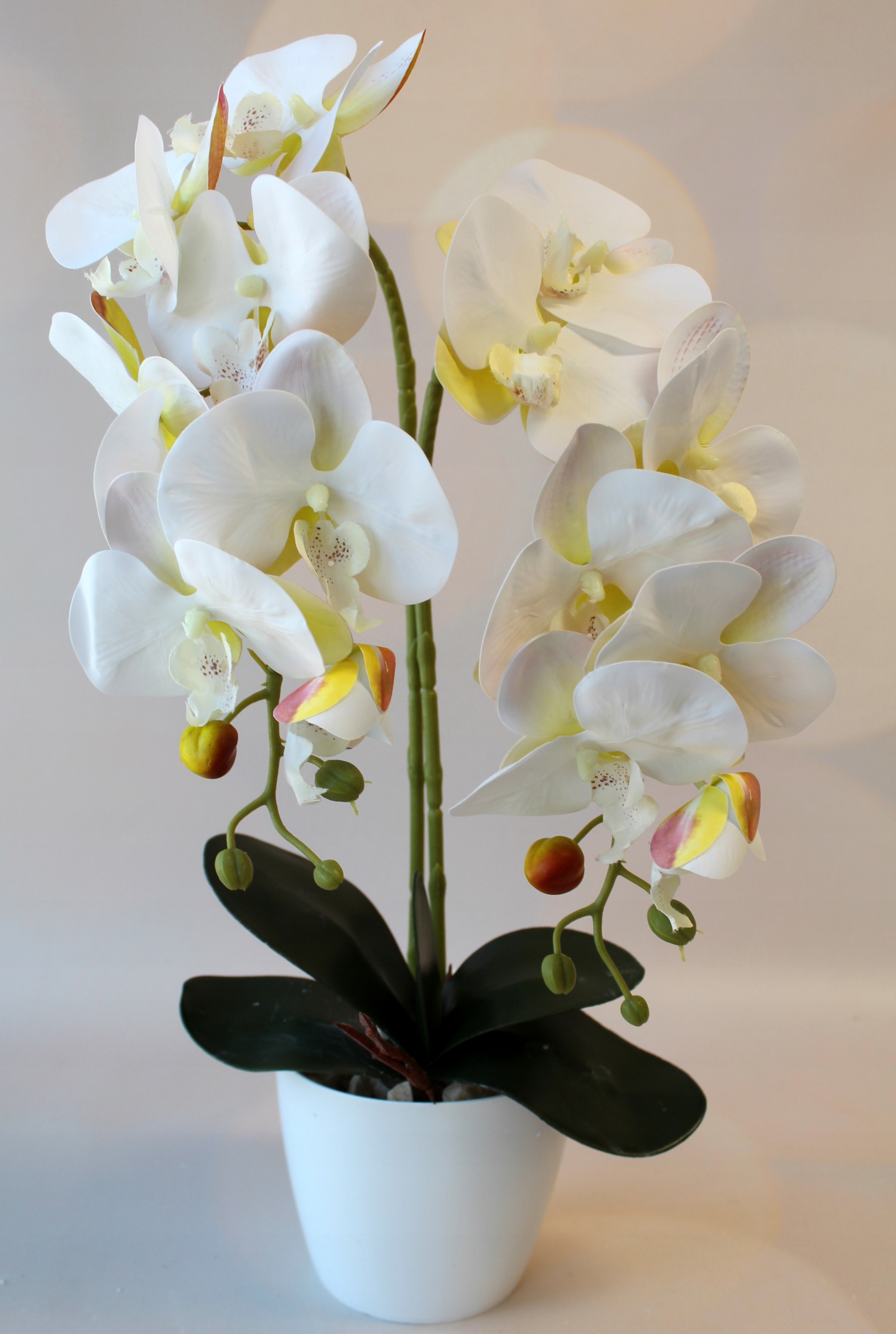 PODWÓJNY STORCZYK SZTUCZNY ORCHIDEA KWIATY SILIKONOWY Kod producenta Storczyk