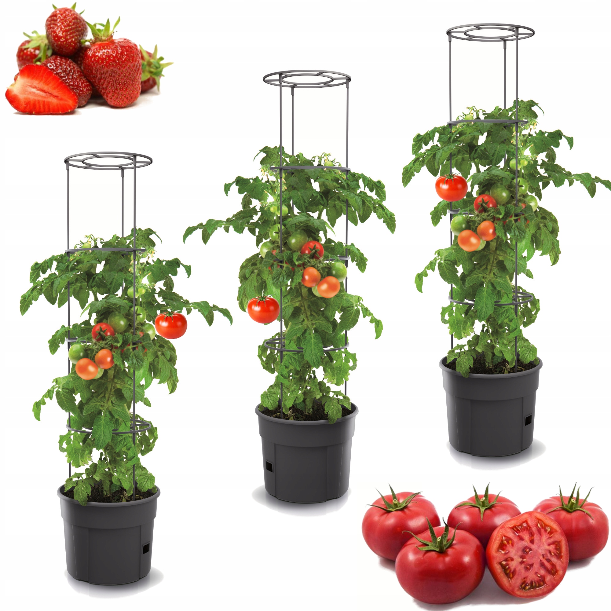 

3x Donica do uprawy warzyw pomidory ogórki 39cm