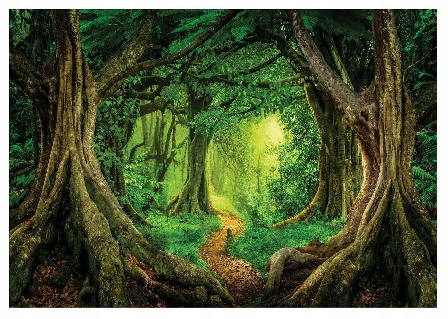 Fototapeta Les Stromy 3D Příroda Krajina 254x184