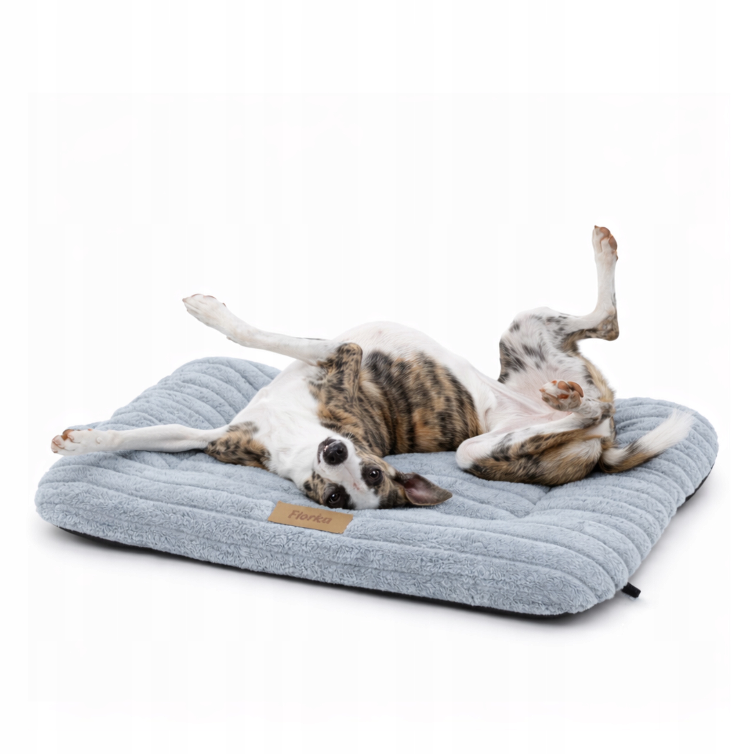 Levně Potah pelíšek matrace pro psa do klece s gravírováním Bonus