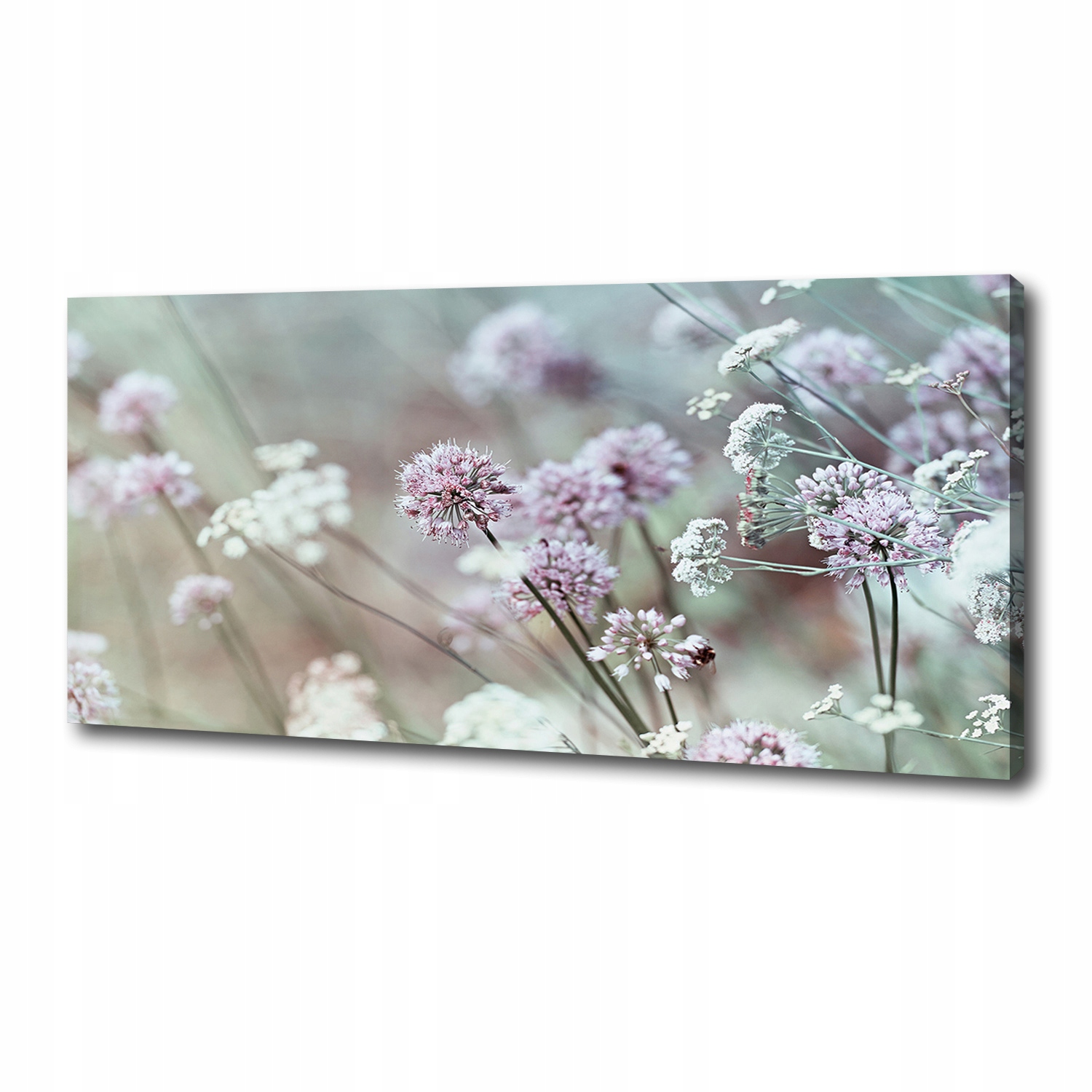 

Foto obraz na płótnie Dzikie kwiaty 125x50 cm