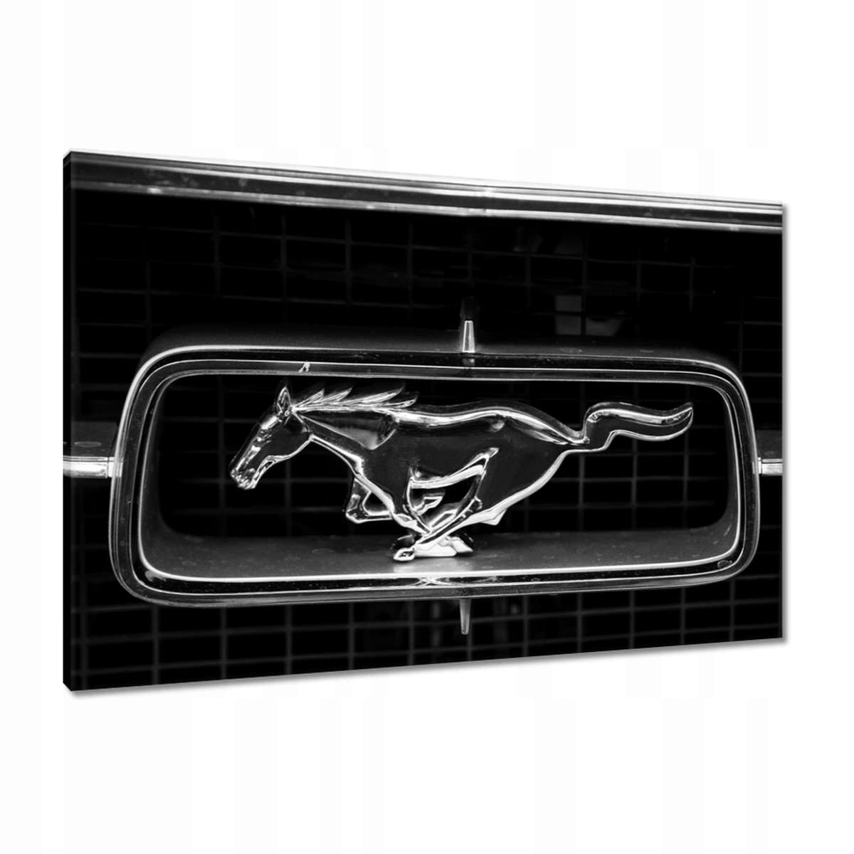 Obrazy 90x60 Známka Mustanga