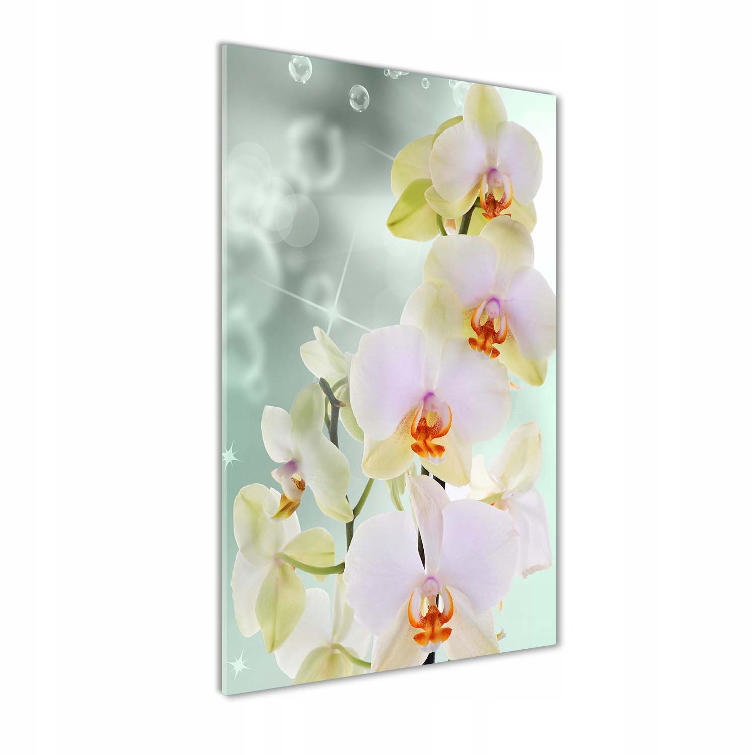 

Foto-obraz szkło hartowane Orchidea 50x100 cm