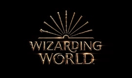 Wizarding Harry Potter pieczątki VOLDEMORT
