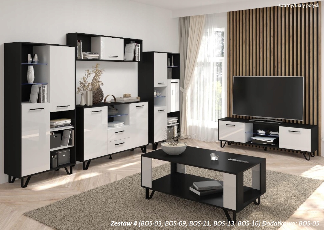 Meble młodzieżowe BOSS 2 grafit/biały/craft Kolor frontów biały