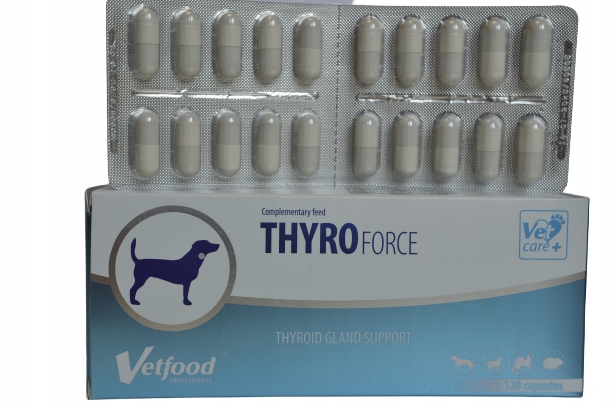 Zestawy witamin THYROforce dla psa Vetfood 120 kapsułek