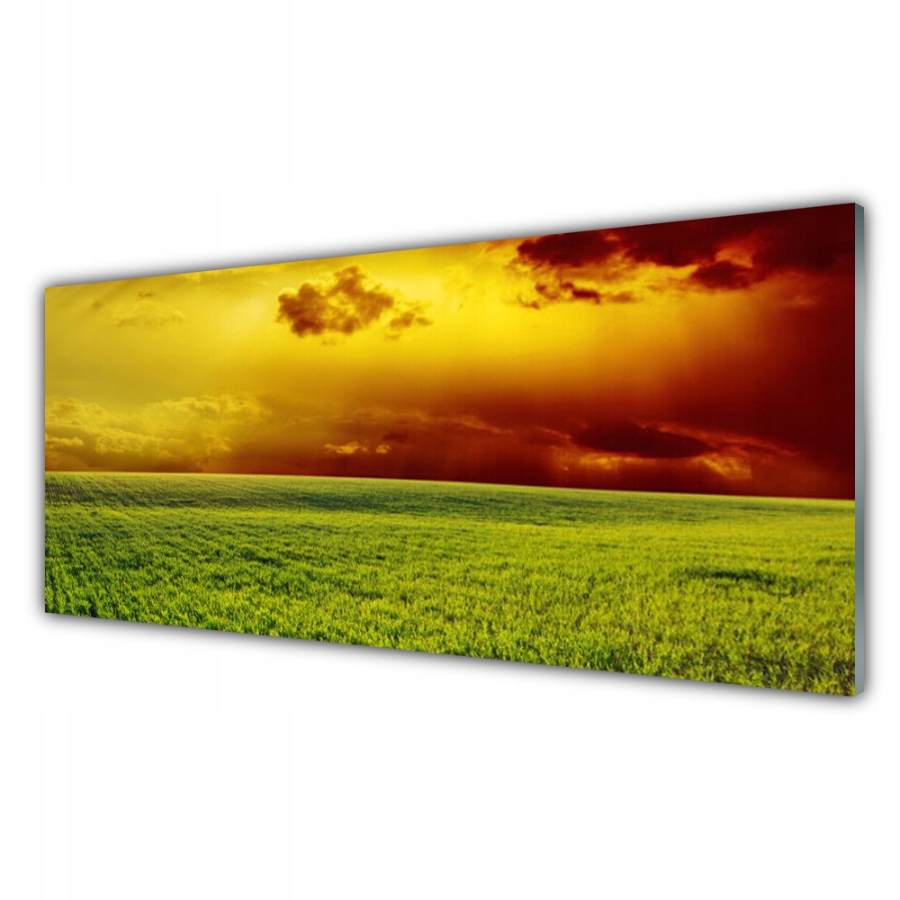 

Obraz z nadrukiem na ścianę 125x50 Pole Krajobraz