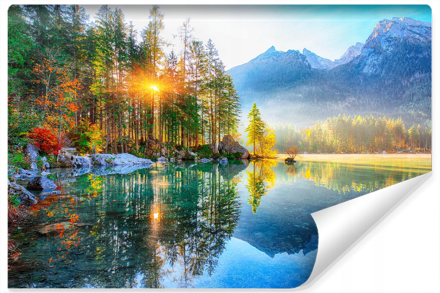 

Fototapeta Las Jezioro Góry Krajobraz 3D 270x180